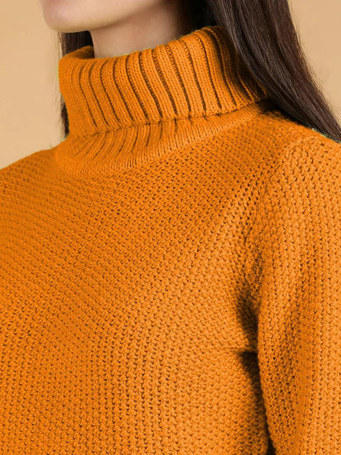Women Turtle Neck Crop Pullover